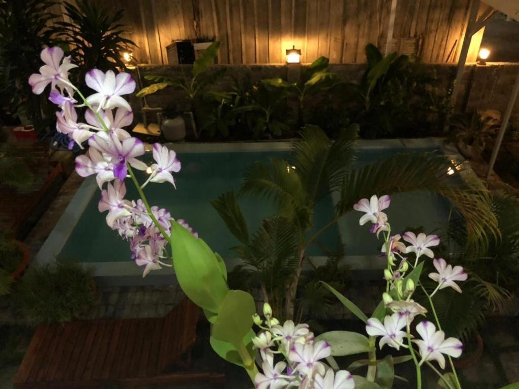 Orchid Hotel 富国 外观 照片